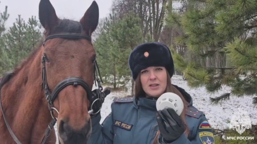 #СоветМЧС. Дари близким заботу и полезные подарки! МЧС России рекомендует: