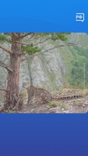 ������� ������� �������� ����!