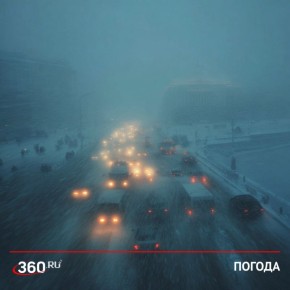 ������ ���� ������� ������� � �������