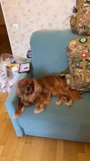 ���� ��������: ���������� �������� ��������� ������� ��� ����� ������!