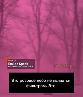 ����� �� ��������� ����� ����������: