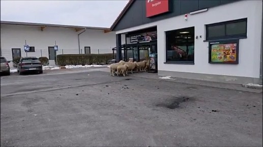 �������� ���������: ���� ��������� � �������� �����������, �� ���� � ������� �����