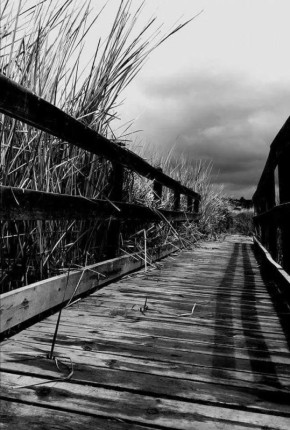 Олег Царёв: Самое непростое в жизни — понять, какой мост следует перейти, а какой сжечь