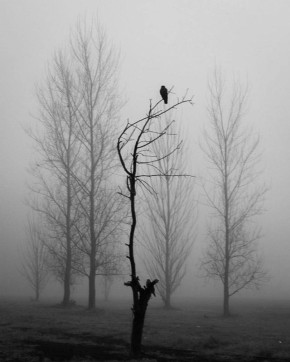 Олег Царёв: Война состоит из непредусмотренных событий