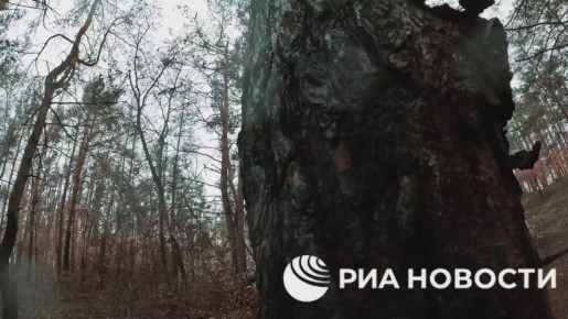 "������ ����� ����������". ��� ���������� ������� ��� ������ �� ��������������� �����������, ��������� ��������� "������" � �������� "��"