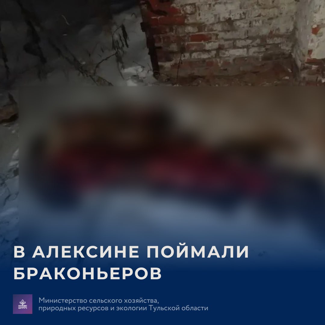 В Тульской области поймали браконьеров