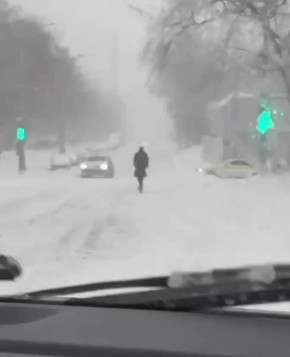 ����� �������� ������ ������� ������ �������� � �����������