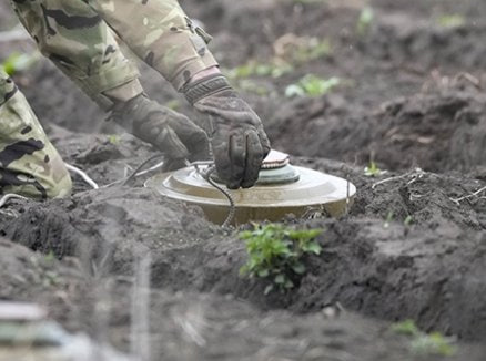 Финляндия официально вышла из Оттавской конвенции о противопехотных минах