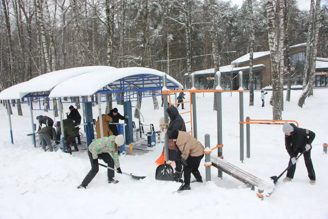 «Снежный субботник» в Тульской области: уборка в центральном парке оружейной столицы