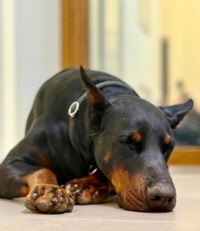 ���� ����: �� ������� �����������, � ������� ����������, �������