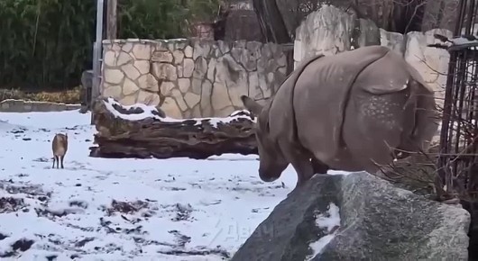 ���� ����: ���� � ������ ������� � ���������� �����