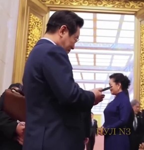 «Спасибо Си за возможность сделать такую фотографию»: