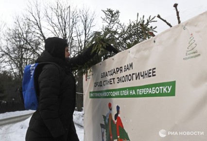 Юрист предупредила россиян о штрафах за неправильную утилизацию новогодней елки