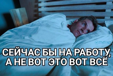 Новогодние каникулы закончились