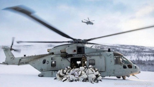 Британия может отправить войска в Гренландию для охраны Арктики, но не определилась, от какой страны