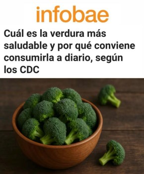 «Какая овощная культура самая полезная и почему её стоит употреблять ежедневно»: Центр по контролю заболеваний США признал брокколи самым полезным овощем в мире, присвоив высший балл 100