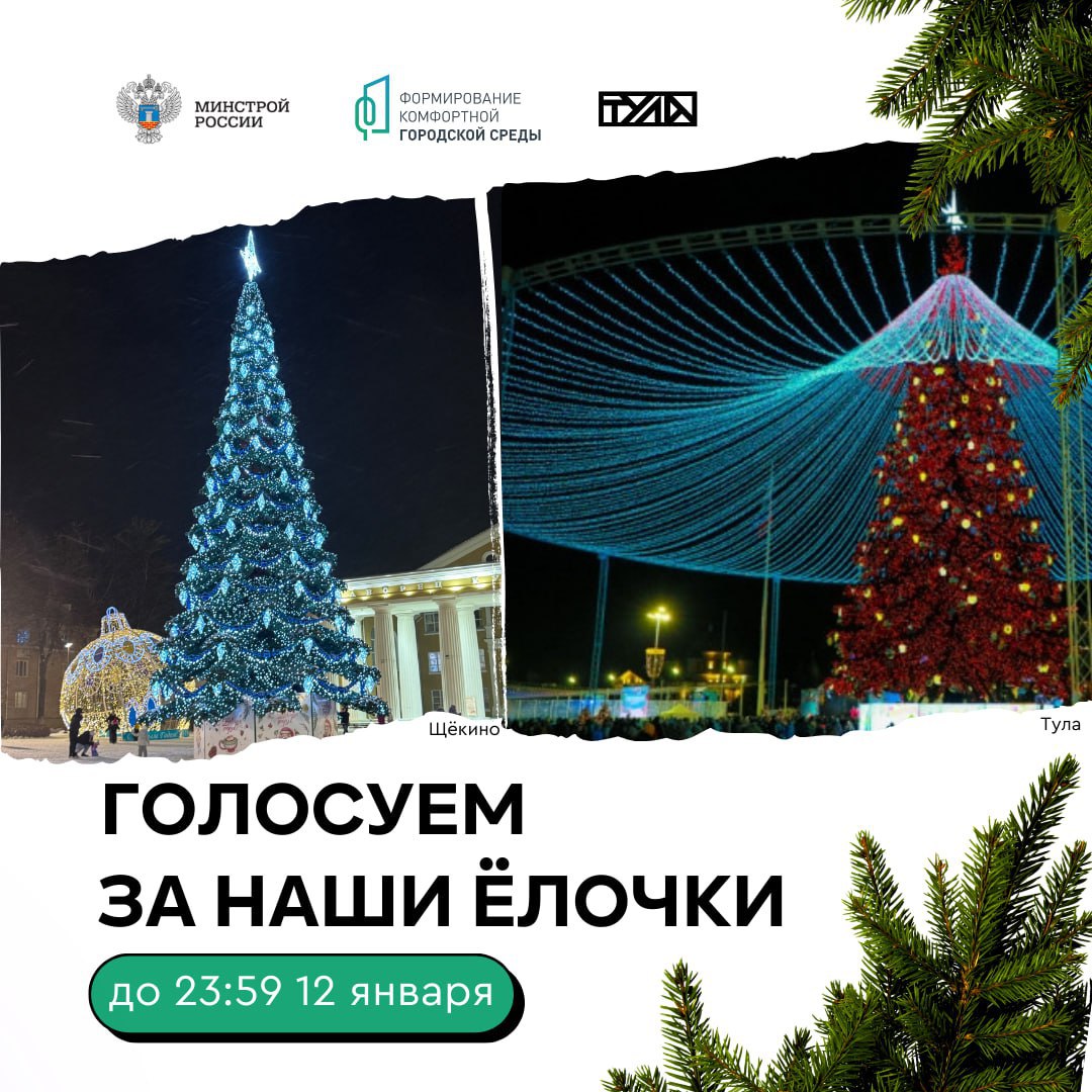 Две новогодние красавицы Тульской области борются за звание лучших ёлок в России