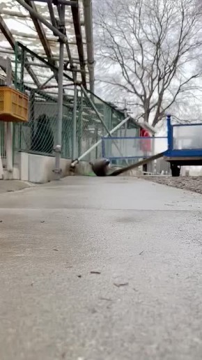 ������ ����������: ��� ��� ����� ���������� �������� � ����� �������� �������������