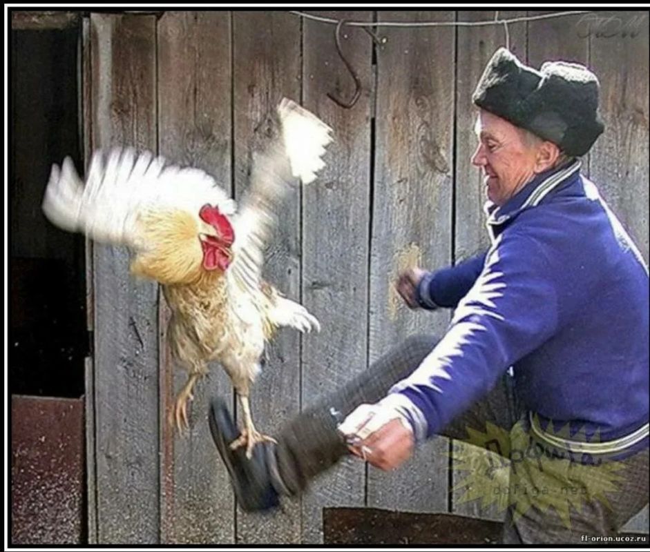 ������ ����������: ������� ������ ����� �������� ���������� ������ ��������� � ���� � ��������� ������ ������� �� �������� (�) ��������