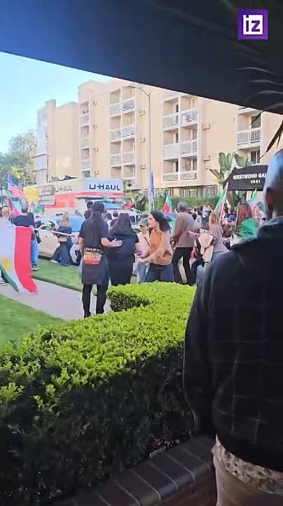В Лос-Анджелесе грузовик врезался в толпу митингующих в поддержку иранских протестов