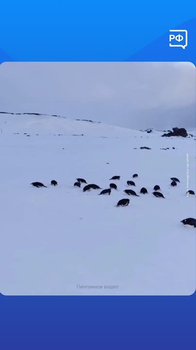 ���������? �������� ���� � � ��� ���������� ������ ��� �� 10 000 ��� � �����