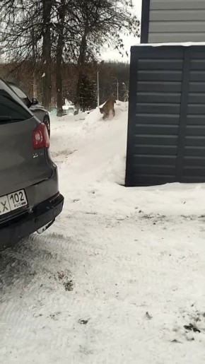 ���� ������ �� ������� � ������� ������ ��� ����, ����� �� ������ ��������� ��������