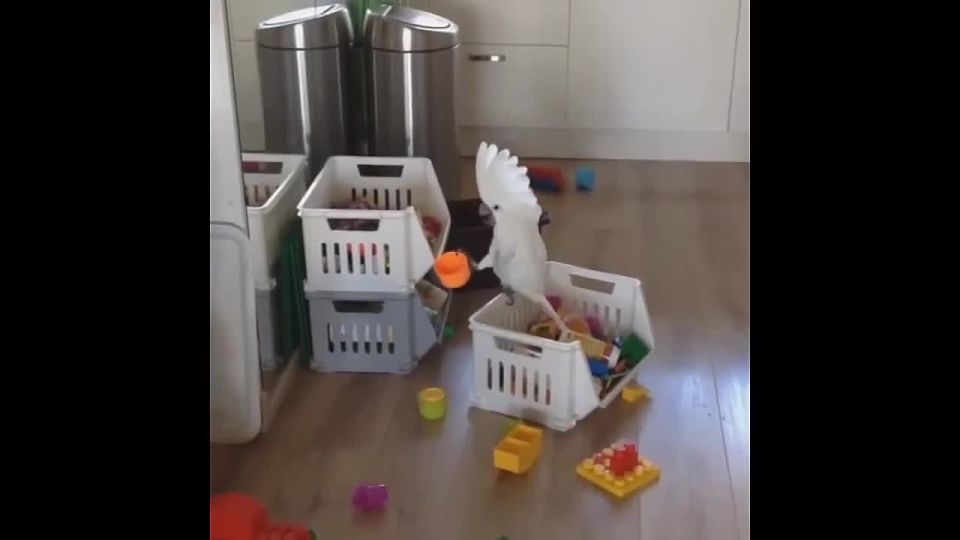 ���������� ������� ������� ������� �� ������, ������� ������������� � ���, ������ �� ��� ��������� ����� �� �������� ���������(�)