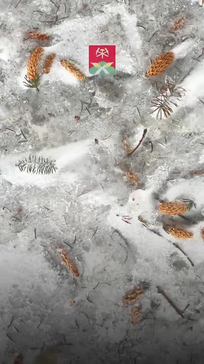 ������ �����: ��������, ������������!. 12 � 13 ������ �� ���������� �������� ������� ��������� ������ ��������� �������� �������: ������� ����, ������, ���������� ����� � ��������� �����������