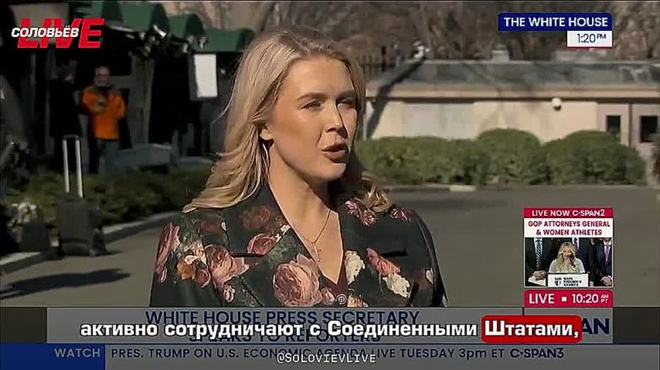 ��������� ������ ��������� ������� ������������ � �������������� �������� ������, ������� �����-��������� ������ ���� ������� ������