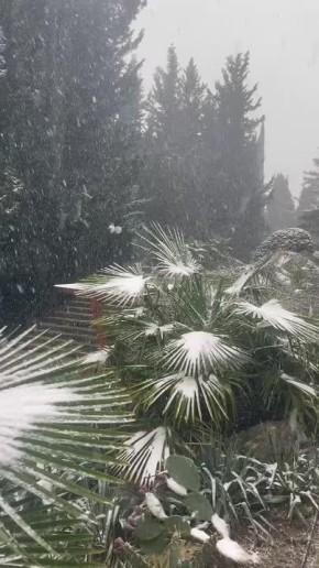 Олег Царёв: Ялта. Снег. Сейчас