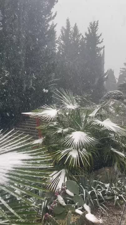 Олег Царёв: Ялта. Снег. Сейчас