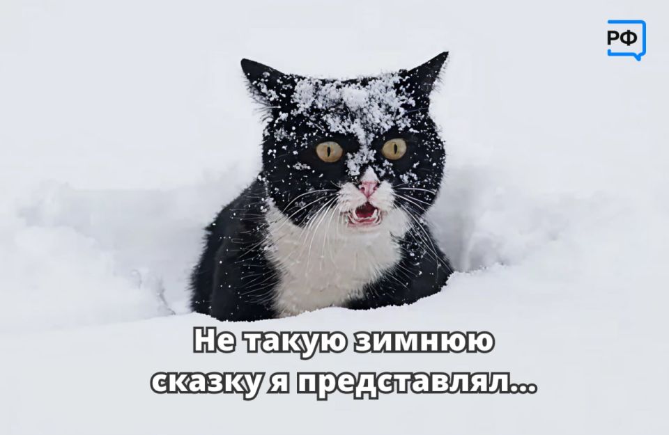 ����� ������� �� ������ �� ��������?