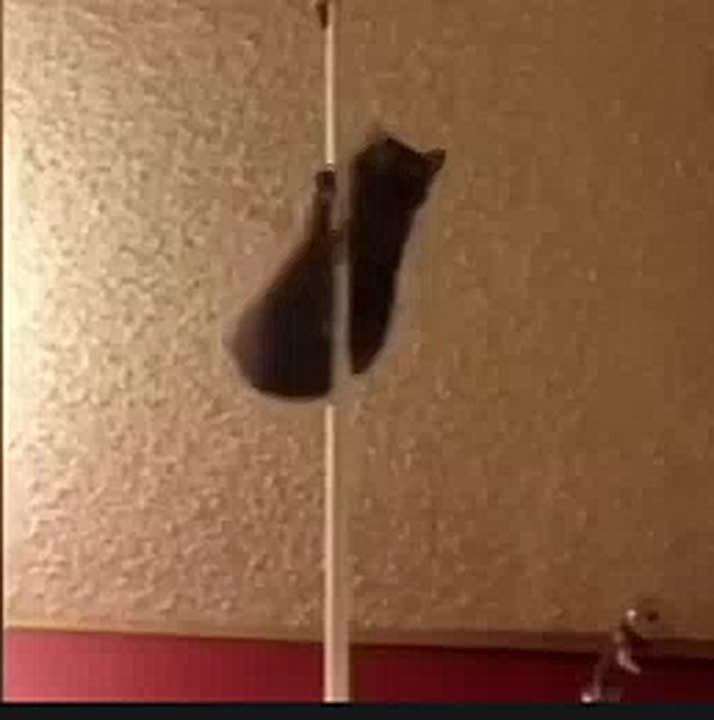 Бывший стриптиз-клуб «Zажигалка» подешевел на миллион рублей