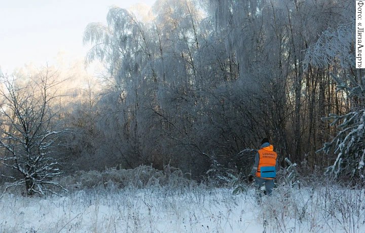 В декабре в Тульской области пропал 51 человек