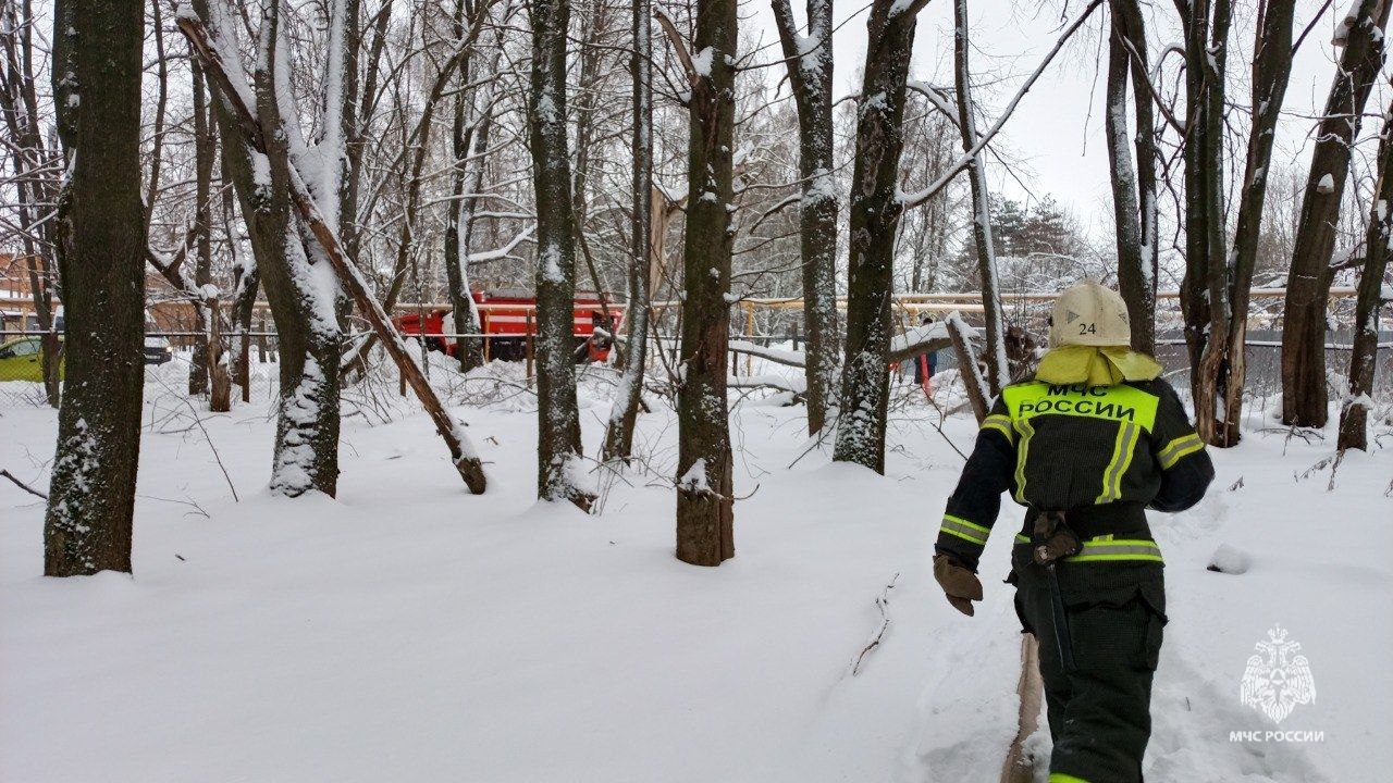 В Тульской области за прошедшие сутки 12 января