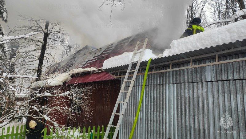 В Тульской области за прошедшие сутки 12 января В Тульской области за прошедшие сутки 12 января