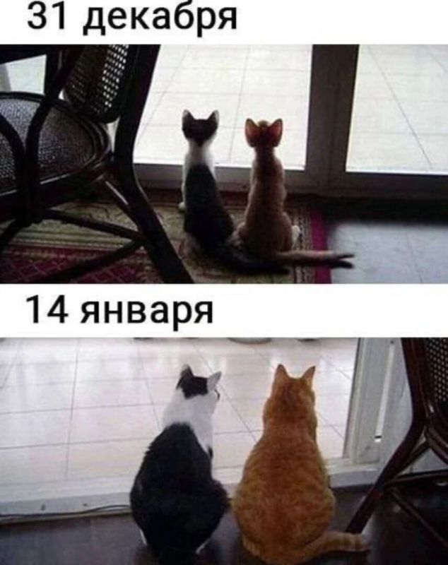 ������ ����������: ������ � ������������ ��� ������� ����