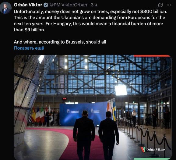 «К сожалению, деньги не растут на деревьях, особенно 800 миллиардов долларов. Именно эту сумму украинцы требуют от европейцев на следующие десять лет», — премьер-министр Венгрии Виктор Орбан