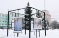 Зима в Новомосковске стала настоящей галереей под открытым небом!