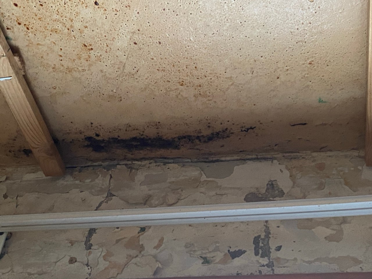 Пенсионерка с инвалидностью ведрами выносит воду с балкона – дом заливает даже в минус 15 Пенсионерка с инвалидностью ведрами выносит воду с балкона – дом заливает даже в минус 15