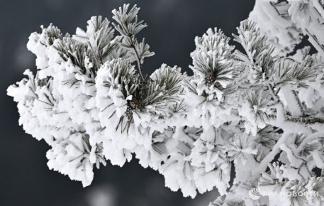 Сильные морозы до минус 26 градусов прогнозируют в Московском регионе на Крещение