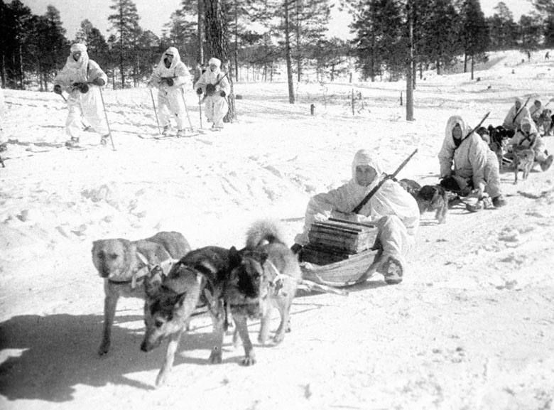 Юлия Витязева: В защиту собачьих упряжек, о которых так пренебрежительно говорит Трамп!