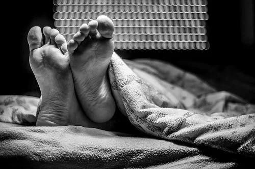 ���� ����: ���������� � ������ ���������