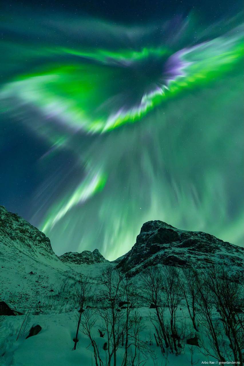 Над Норвегией прошла самое яркое северное сияние нового года: Над Норвегией прошла самое яркое северное сияние нового года: