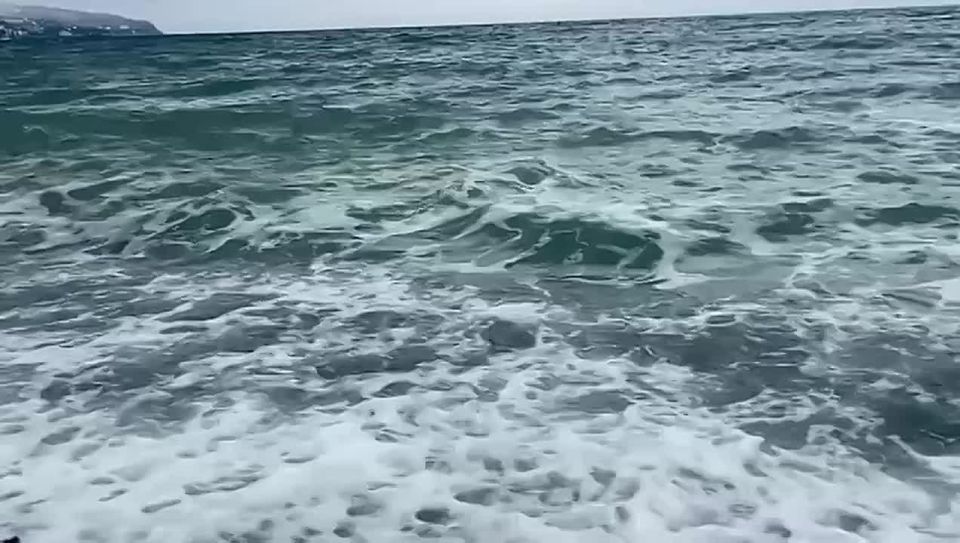 ���� ����: ����� ������ � ���� ׸���� ���� ������