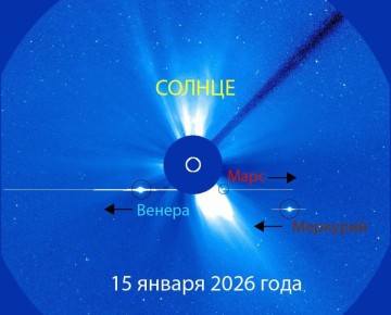 ������, ��������, ���� � ������ ���������� � ������������ "�����" ����� ����� ������