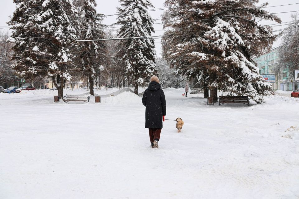 ���� ���������...������� ���������� ��������� ���� � �������������