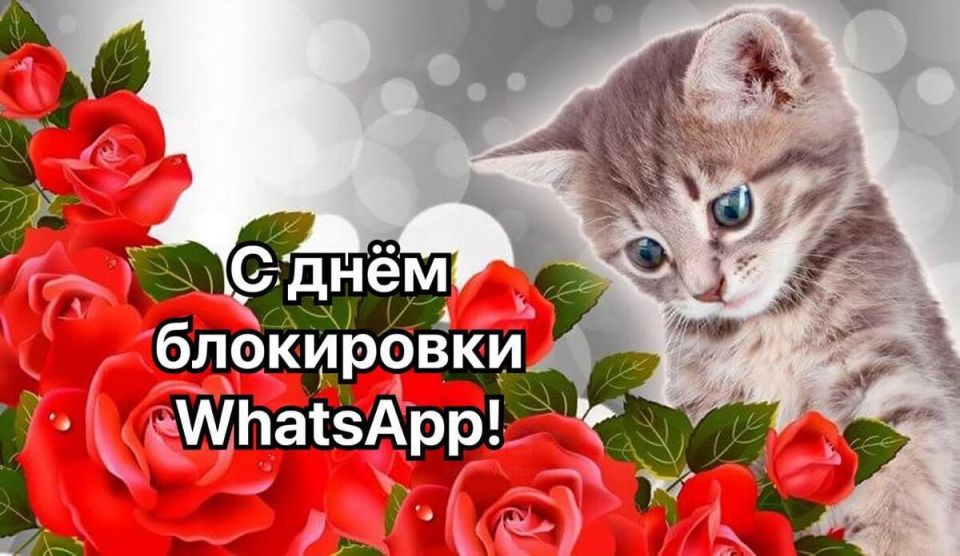WhatsApp* окончательно заблокируют в России в 2026 году