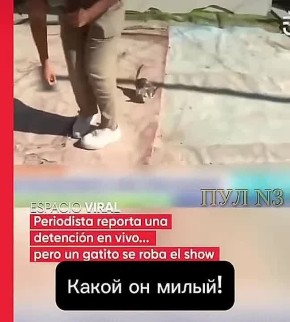 ������ �� �����! ������� ���, ���������? ���� ������� ��� ����� � ������ ���, ����. ��� ��� ��� �� ������� ������ �� ���� ���� ������� � ���������� �������: