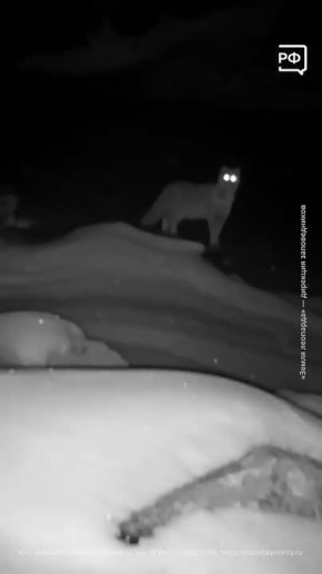 ����� �������� ����� ���� ��������������� ������ ���!